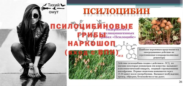 эйфоретик Алексин