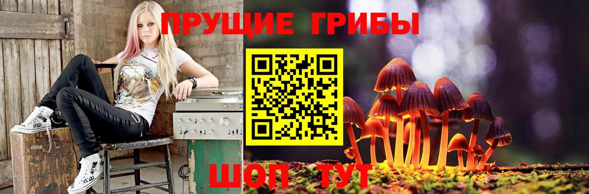 Нефтекумск  Псилоцибиновые грибы ЛСД  Галлюциногенные грибы Psilocybine cubensis  Вход с VPN 